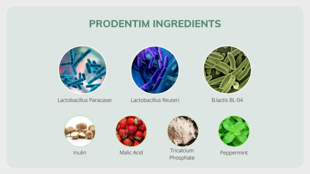 prodentim--ingredients